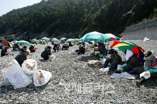 지난 20일 대우조선해양 직원 200여명이 거제시 남부면 함목마을에서 오염방제 작업을 하고 있다.