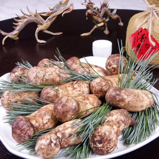 오크우드 호텔 ‘용궁’ 자연산 송이요리 출시