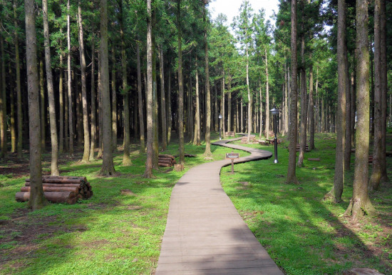 KAL호텔, ‘장생의 숲길’ 체험 프로그램 운영
